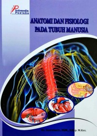 Anatomi Dan Fisiologi Pada Tubuh Manusia