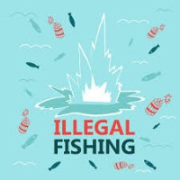 Illegal Fishing