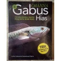 Channa Si Gabus Hias Primadona Baru Pencinta Ikan Hias