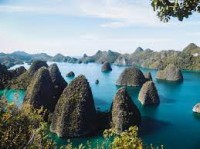 KONSERVASI ALAM RAJA AMPAT