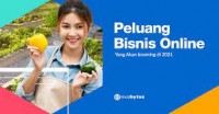 Peluang Bisnis Online