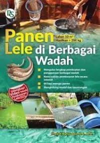 Panen Lele di Berbagai Wadah